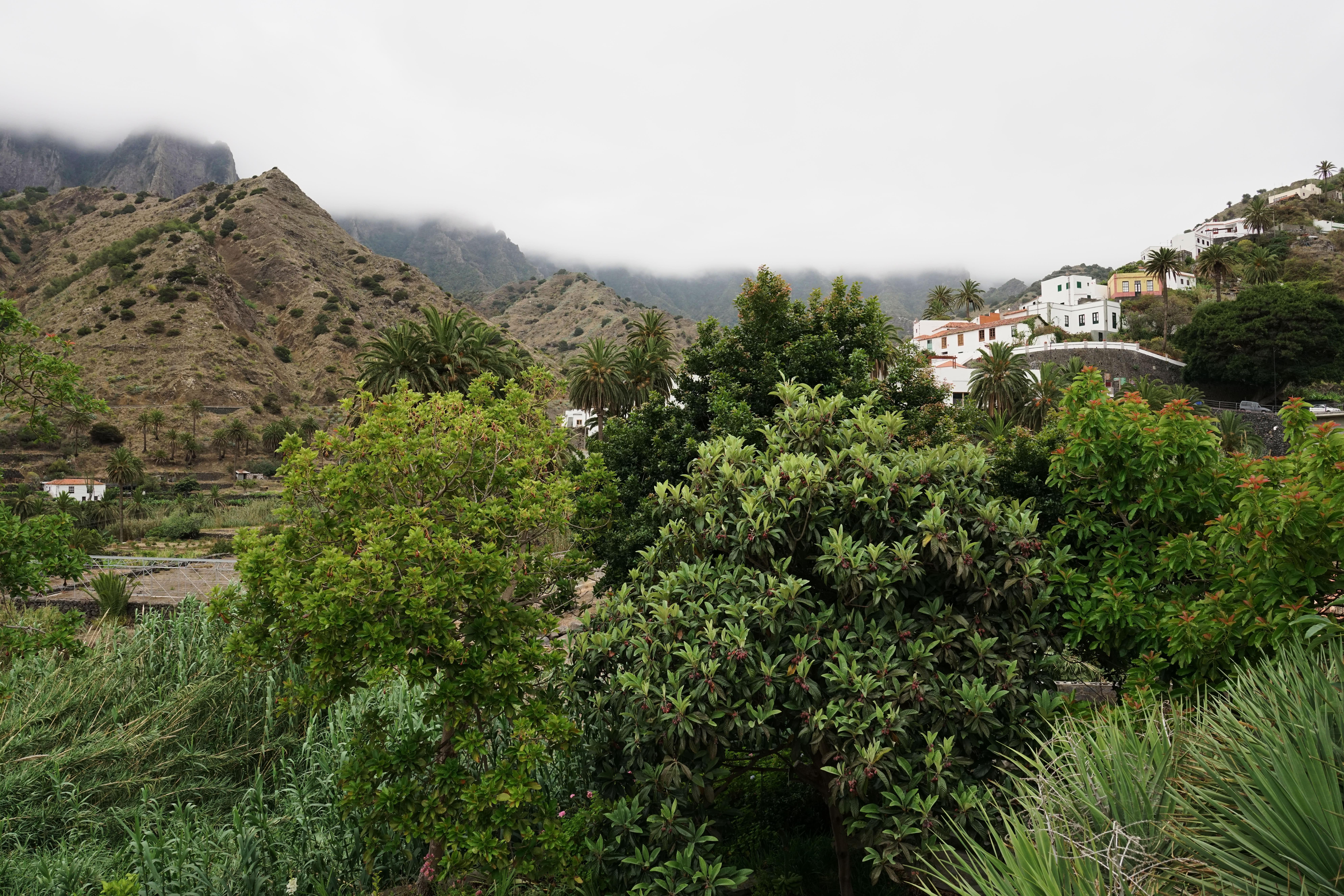 Finca Pinero Hermigua Ngoại thất bức ảnh