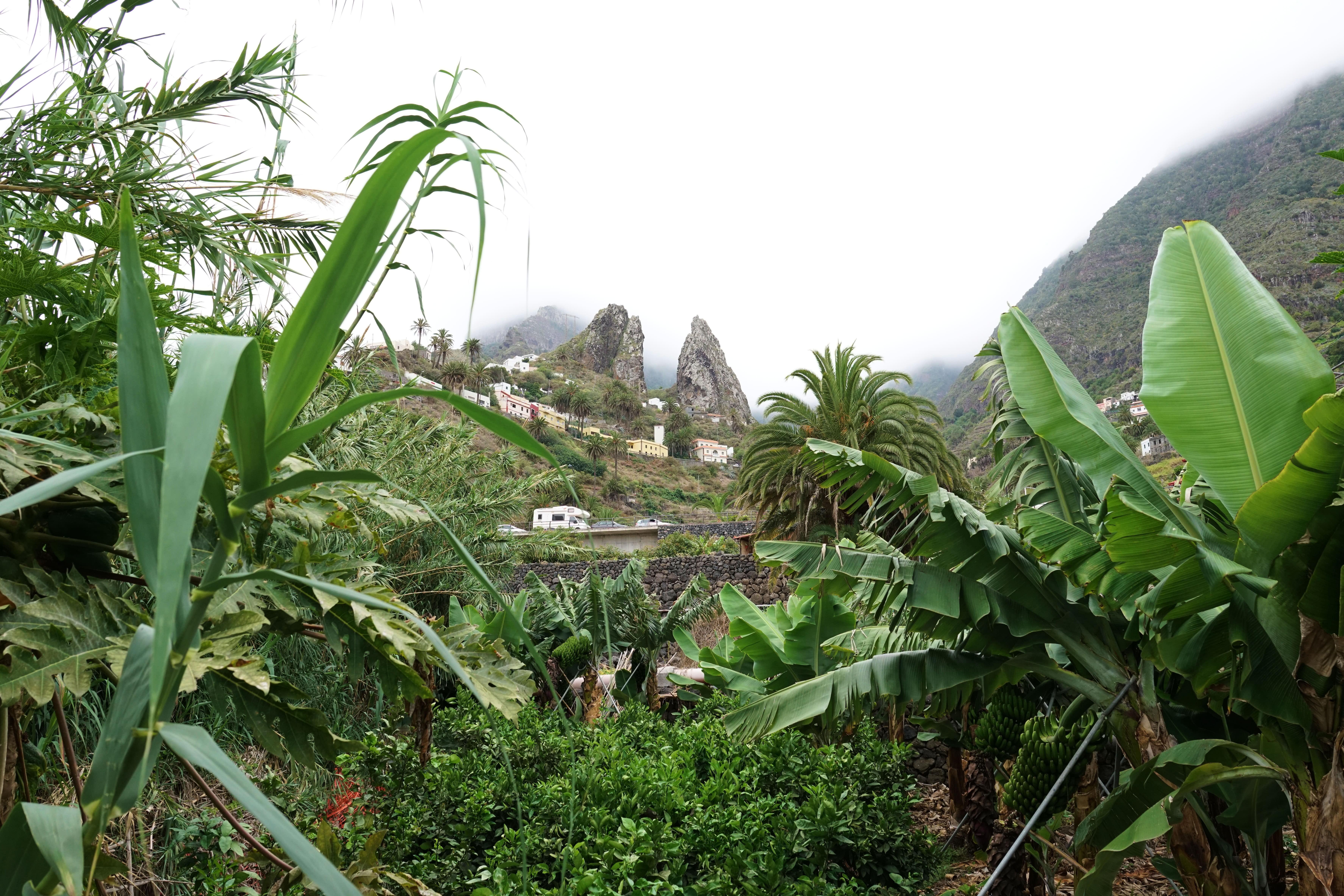 Finca Pinero Hermigua Ngoại thất bức ảnh
