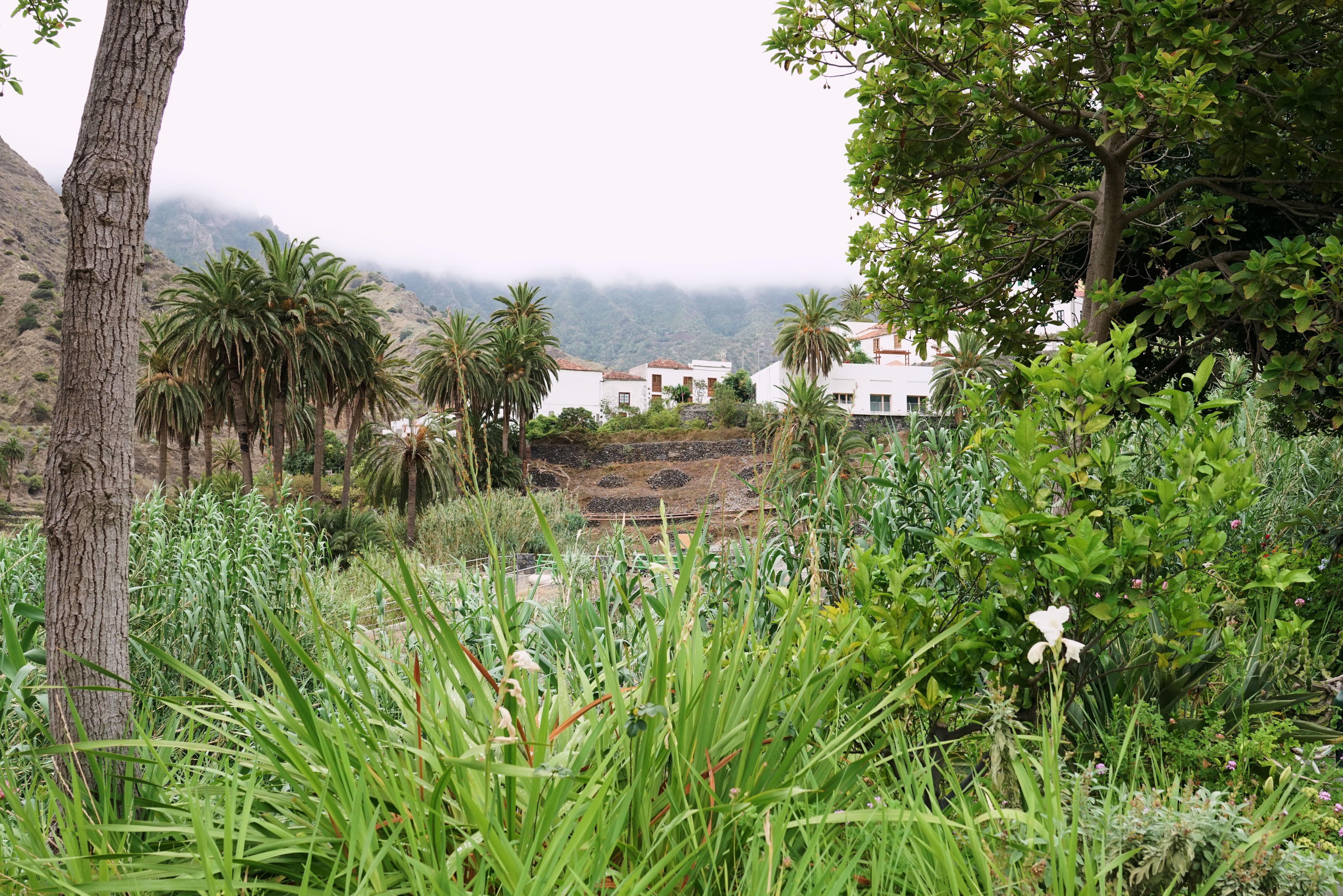 Finca Pinero Hermigua Ngoại thất bức ảnh